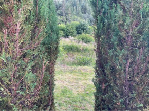 Highland River Retreat